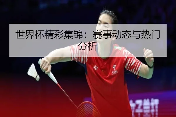 世界杯精彩集锦：赛事动态与热门分析