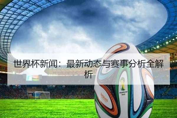 世界杯新闻：最新动态与赛事分析全解析