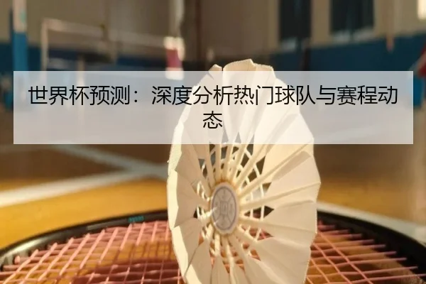 世界杯预测：深度分析热门球队与赛程动态