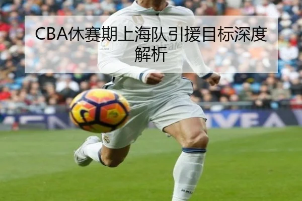 CBA休赛期上海队引援目标深度解析